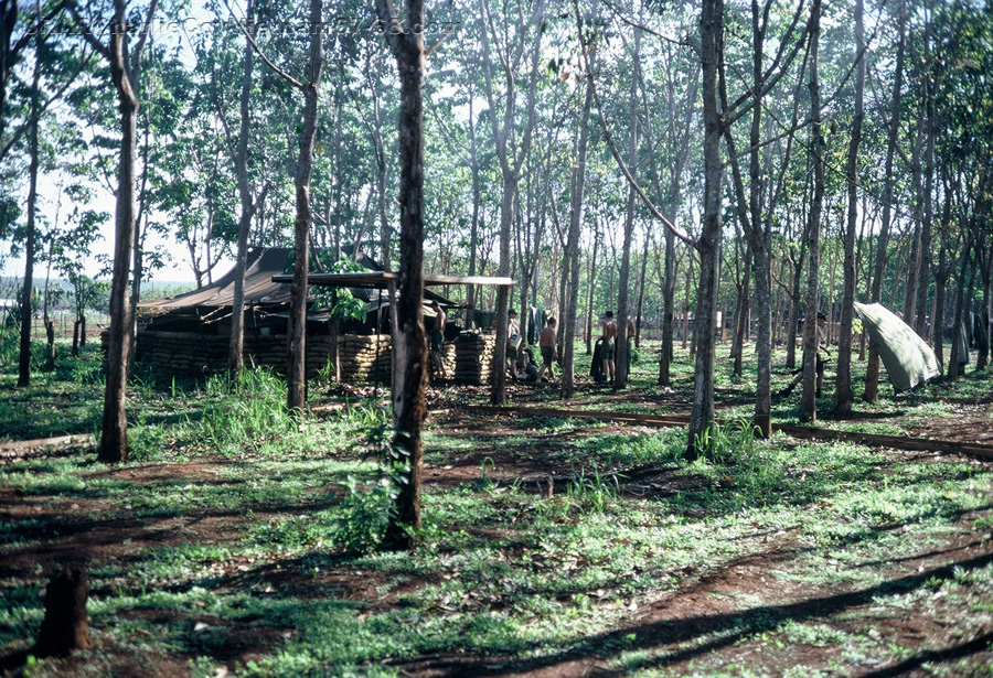 7 Platoon Lines Nui Dat