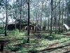 7 Platoon Lines Nui Dat