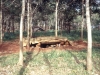 Bunker
