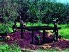 Pl Bunker
